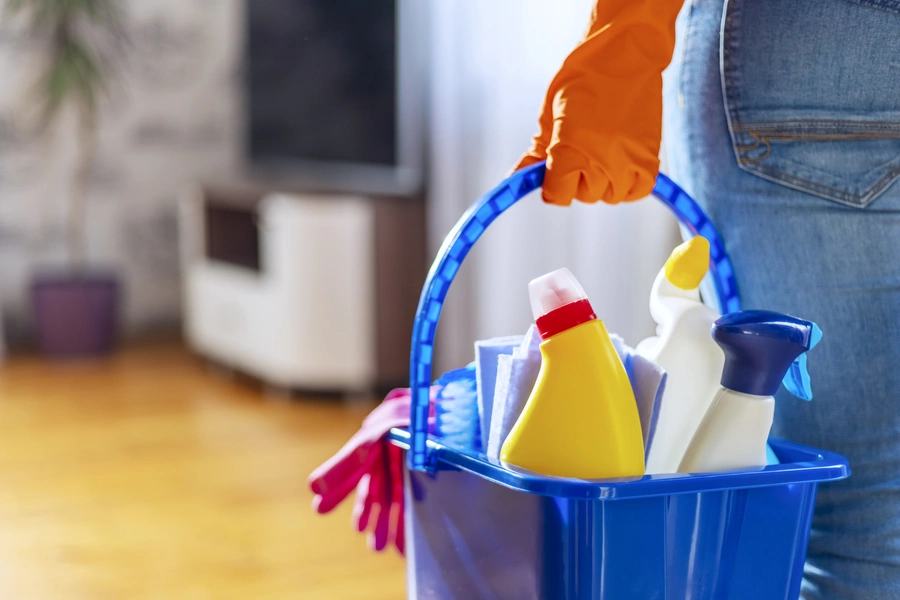 Professional Deep Cleaning